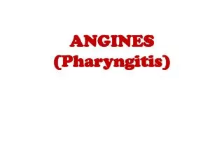 ANGINES ( Pharyngitis )