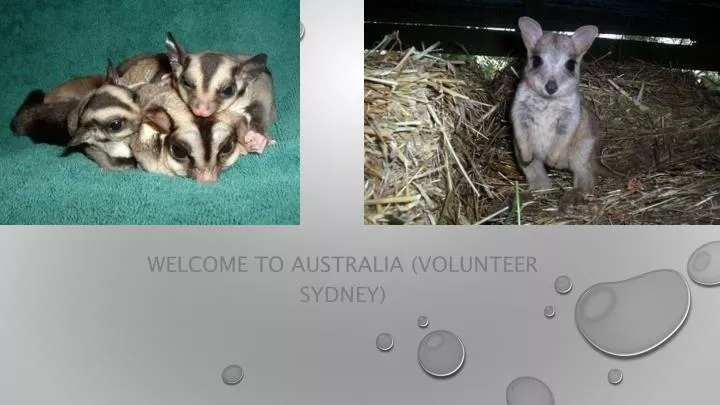 welcome to australia volunteer sydney