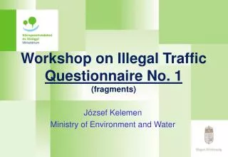 Workshop on Illegal Traffic Questionnaire No. 1 ( fragments)