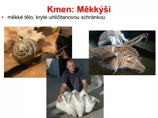kmen m kk i