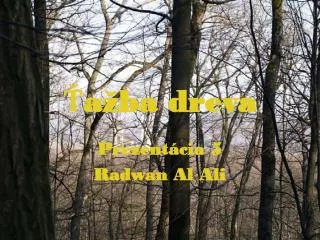 prezent cia 5 radwan al ali