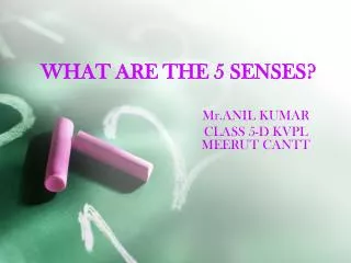WHAT ARE THE 5 SENSES?