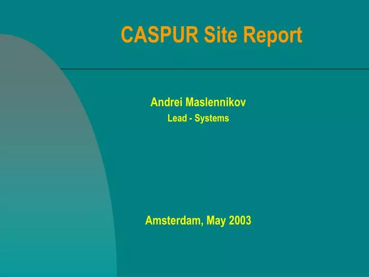 caspur site report
