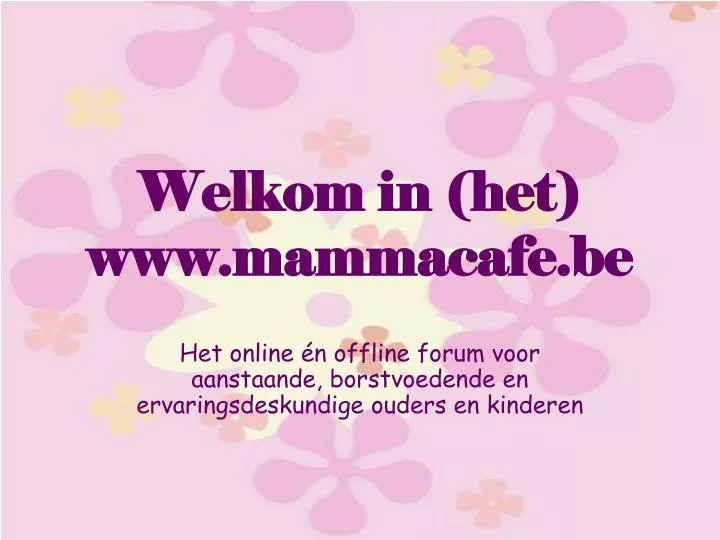 welkom in het www mammacafe be