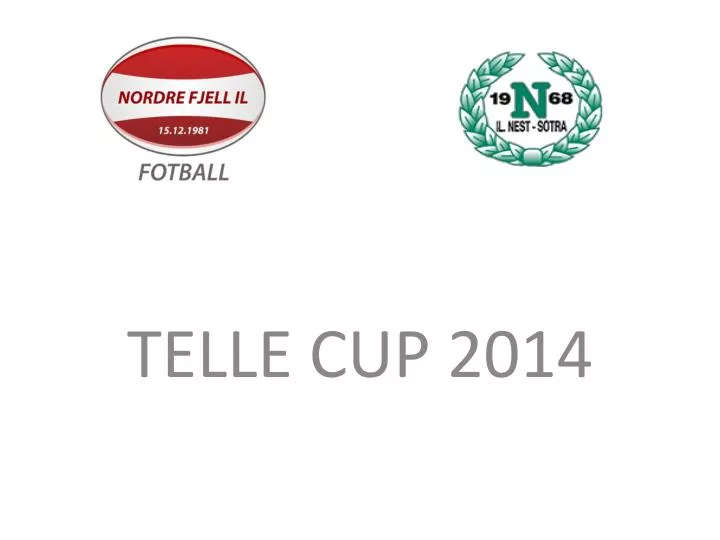 telle cup 2014