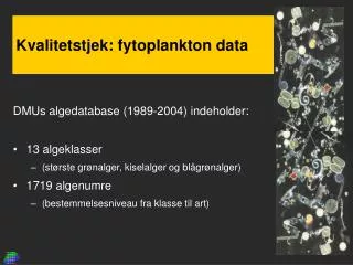 kvalitetstjek fytoplankton data