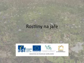 rostliny na ja e