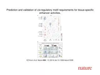 EZ Kvon et al. Nature 000 , 1-5 (2014) doi:10.1038/nature13395