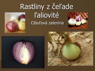rastliny z e ade aliovit