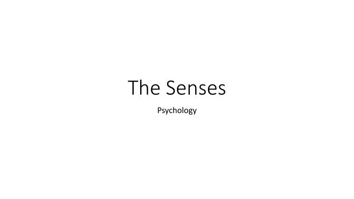 the senses