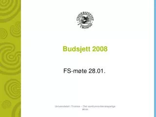 budsjett 2008