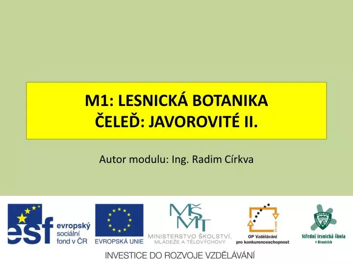 m1 lesnick botanika ele javorovit ii