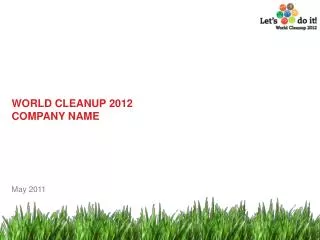 WORLD CLEANUP 2012 COMPANY NAME