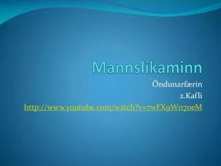 mannsl kaminn
