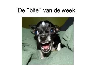 de bite van de week