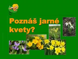 Poznáš jarné kvety?