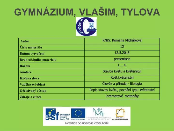 gymn zium vla im tylova