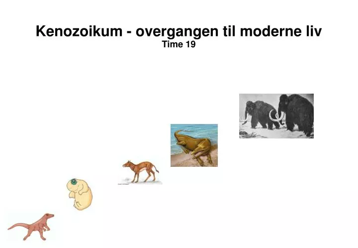 kenozoikum overgangen til moderne liv time 19