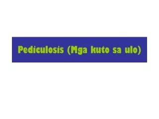 pediculosis mga kuto sa ulo