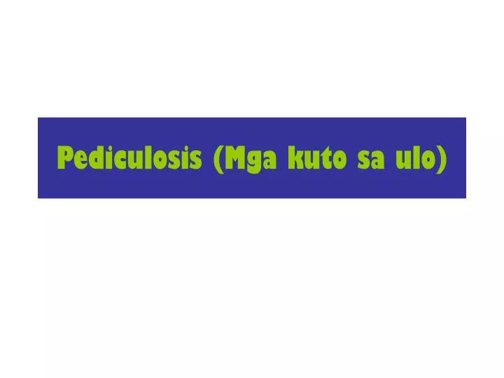 pediculosis mga kuto sa ulo