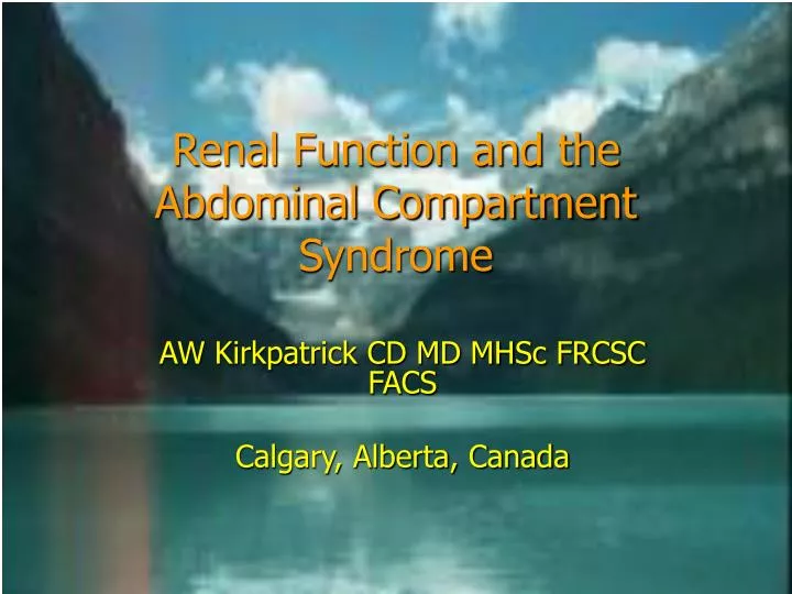 renal function and the abdominal compartment syndrome