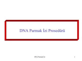 dna parmak zi prosed r