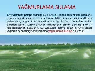 ya murlama sulama