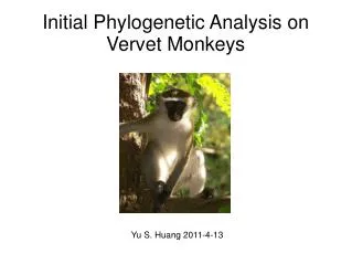 Initial Phylogenetic Analysis on Vervet Monkeys