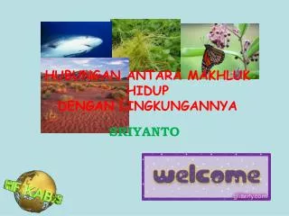hubungan antara makhluk hidup dengan lingkungannya