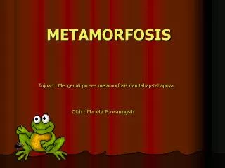 m etamorfosis