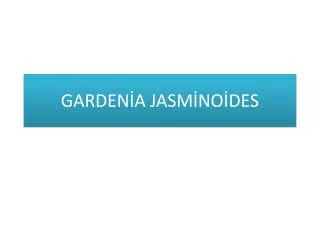 garden a jasm no des