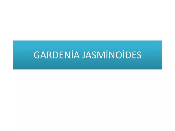 garden a jasm no des