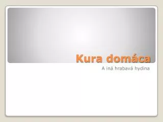 kura dom ca