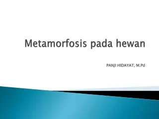 metamorfosis pada hewan