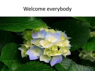 Welcome everybody