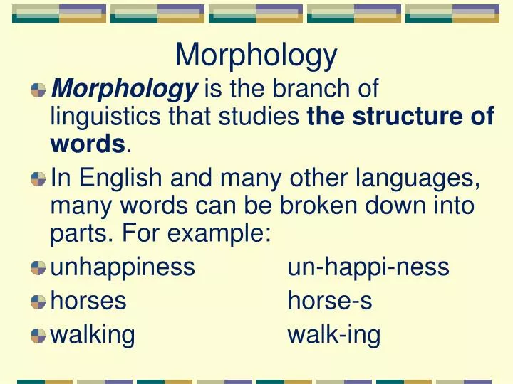 morphology