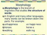 Morphology - slide 1
