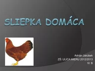 adri n jak bek z ulica mieru 2012 2013 iv b