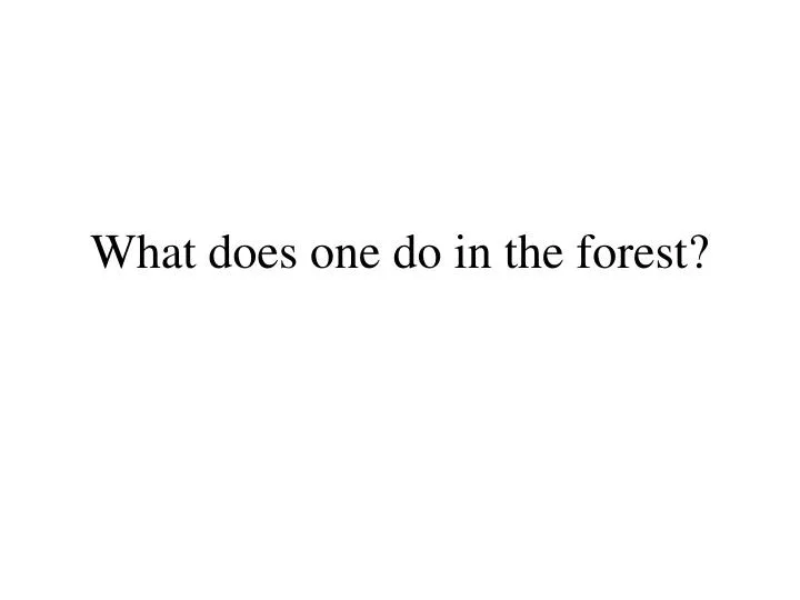 what does one do in the forest