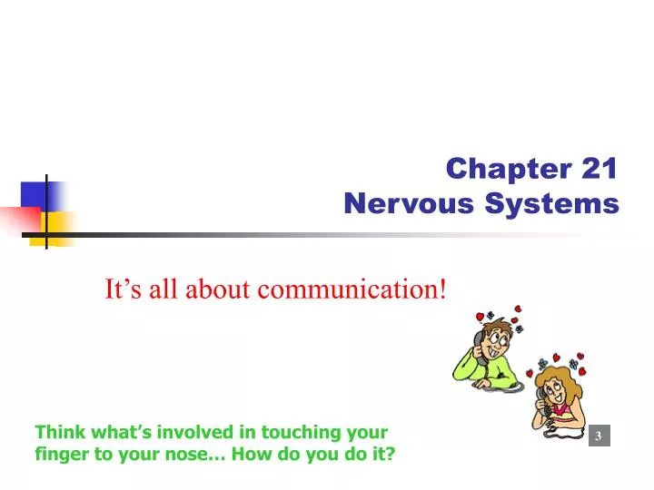 chapter 21 nervous systems