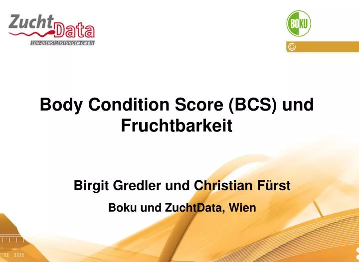 body condition score bcs und fruchtbarkeit
