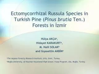 Ectomycorrhizal Russula Species in Turkish Pine ( Pinus brutia Ten.) Forests in ?zmir