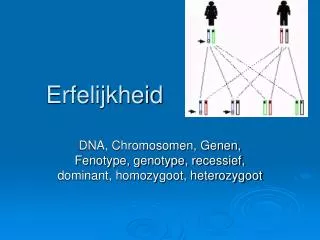 erfelijkheid