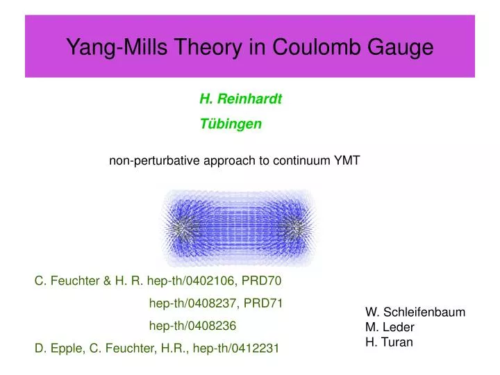yang mills theory in coulomb gauge