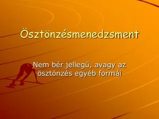 szt nz smenedzsment