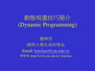 dynamic programming