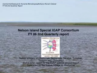 Nelson Island Special IGAP Consortium FY 06 2nd Quarterly report