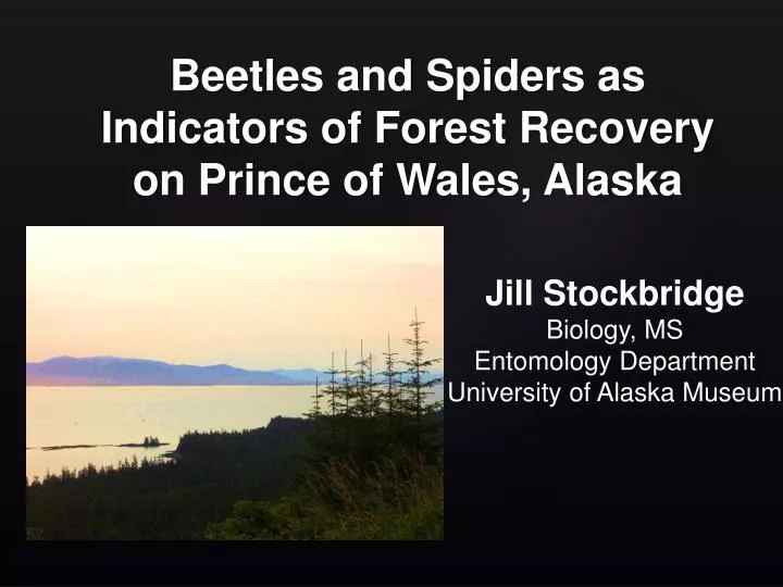 beetles and spiders as indicators of forest recovery on prince of wales alaska