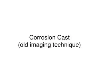 Corrosion Cast (old imaging technique)