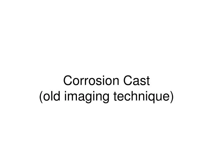 corrosion cast old imaging technique
